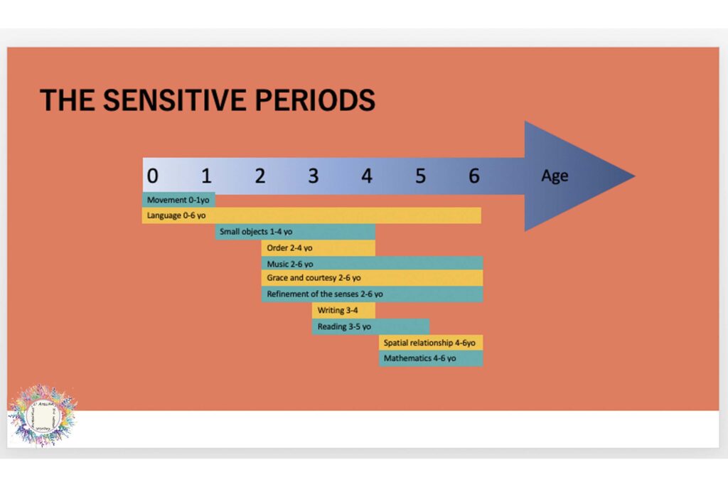 THE SENSITIVE PERIODS FOR CHILD